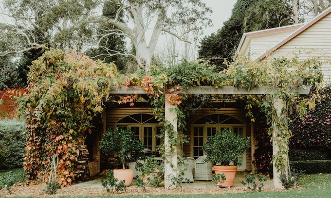 Mount Wilson Cabin | Wisteria Lodge | Mt Wilson | 24 Acres of Established Heritage Botanical Garden