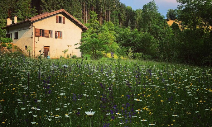 Soranzen Bed & Breakfast | With sauna and hot tub in the woods, river side. Next to Dolomiti National Park