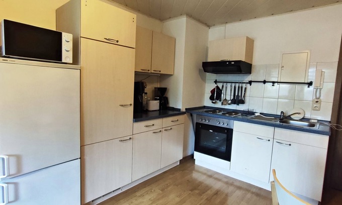 Gruenhain-Beierfeld Apartment | Wohnen am Balkon des Erzgebirges Ferienwohnung Ansimali