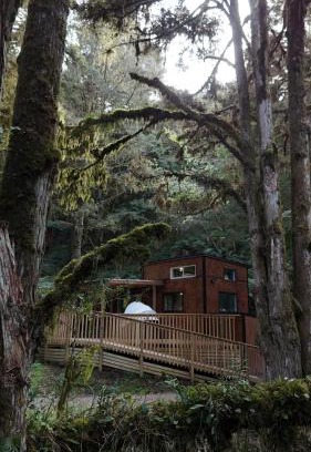 Taumarunui House | Wonderforest 2 Bedroom Tiny house Ruapehu Unique Stays