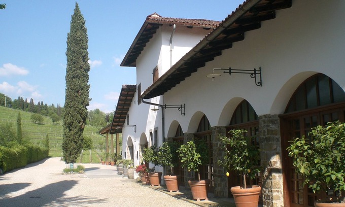 Manzano Other | wonderful area in the middle of the vineyards where you can relax and taste wine