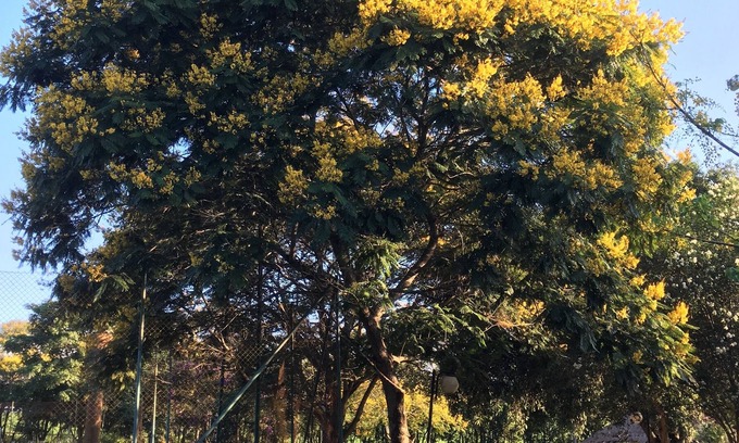 Boituva House | Wonderful place located in Boituva, perfect for weekends and parties.