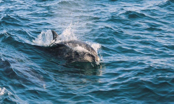 Llandysul House | Wonderful private villa for 4 guests with WIFI, hot tub, TV, patio, panoramic view and parking