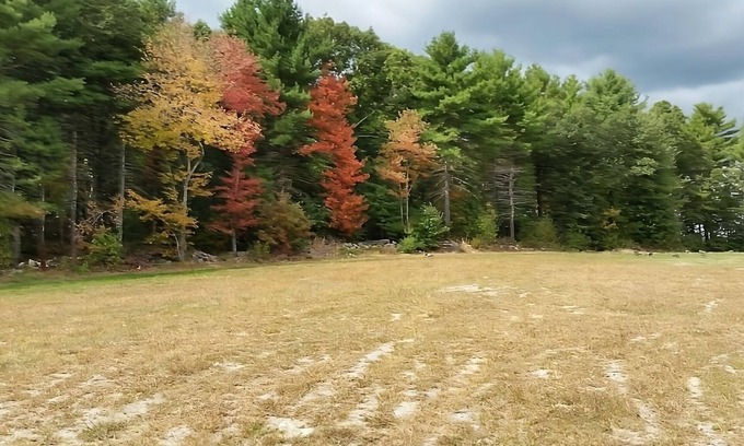 Foxboro Hotel | Wonderful Trip! 2 Relaxing Units w/Free Breakfast & Free Parking!