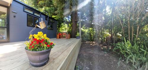 New Plymouth House | Wonderland