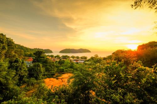 Teluk Nipah House | Woodcookies Guesthouse