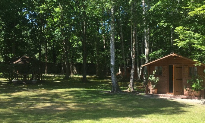 Noisy-sur-Ecole Ski Chalet | Wooden chalet in the middle of a wooded park