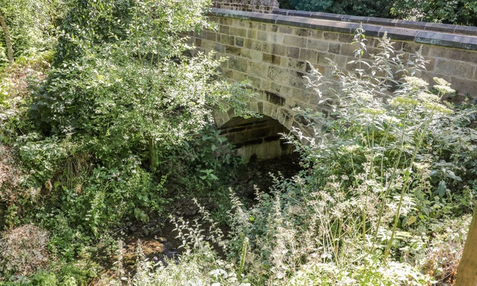 Loftus Cottage | Woodend