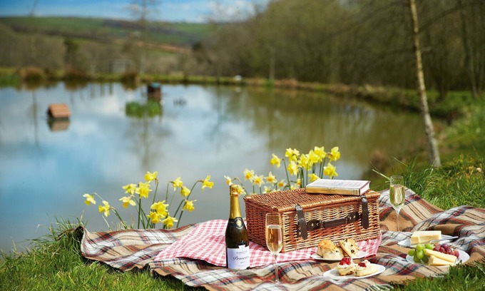 Romansleigh Cottage | Woodland Cottage, South Moulton, a beautiful, spacious cottage on two floors in a private location