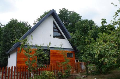 Gabala Apartment | Woodland Paradise