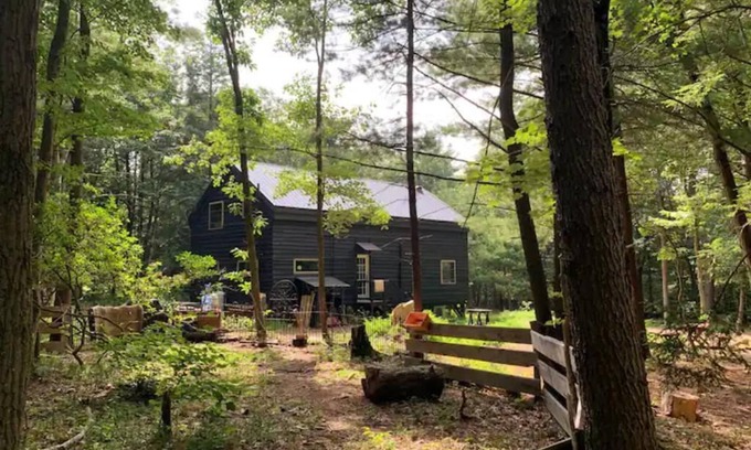 Lehighton Cabin | Woodland Retreat on 10 Acres