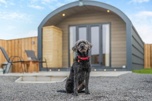 Darlington House | Woody