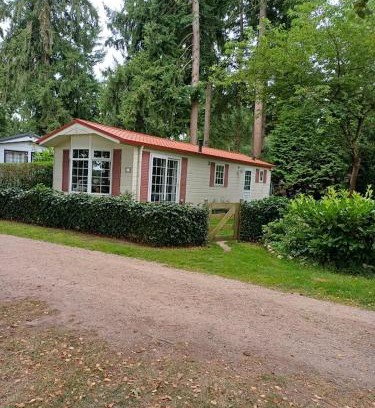 Laag-Soeren House | Woudthuisje