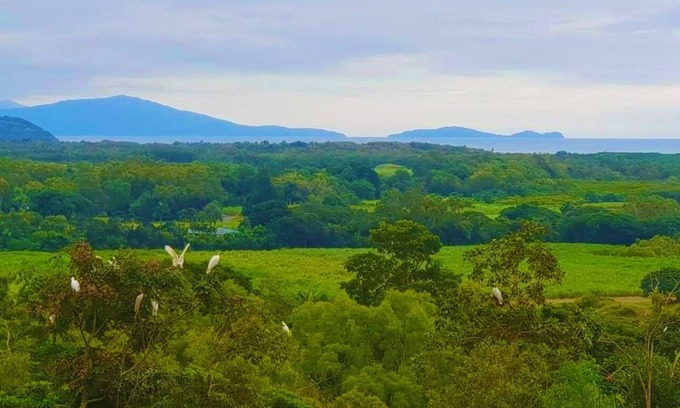 Mowbray House | WYBALENA Entire Private Home, Ocean and valley views Tropical Oasis Pool Garden