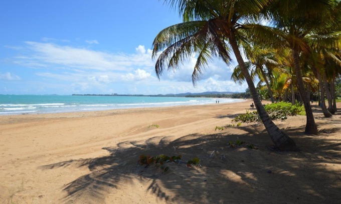 Mameyes II Condo | Wyndham Grande Rio Mar Beach and Golf Resort