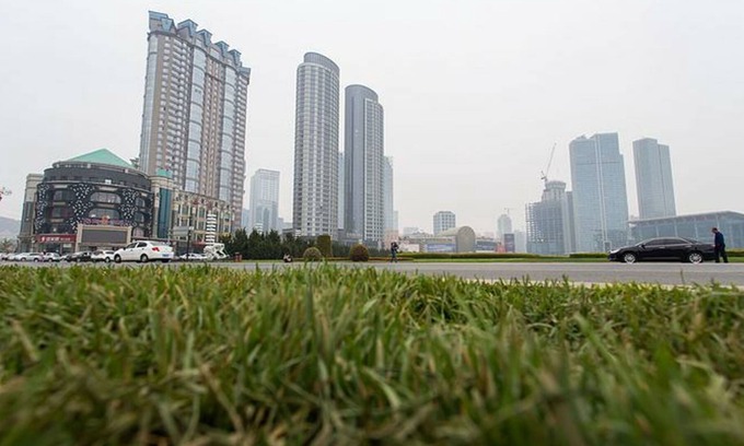 Xinghai Commercial Area Apartment | Xinghai Haiyue Bay Suites Apartment