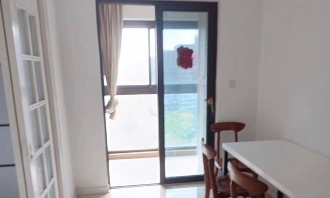 Songjiang Apartment | xinhongqiaoshoufu apartment welcome shanghai,nice to meet you~i will support you