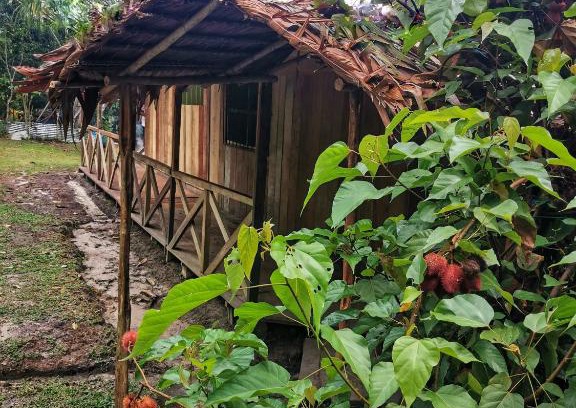 Padre Cocha House | YAKU lodge & camping