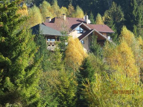 Oryavchyk Cabin | Yalivets