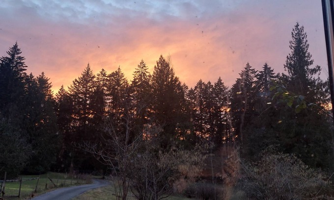 North Oyster Other | Yellow Point Country AcresnCentral Vancouver Island Adventures BnB
