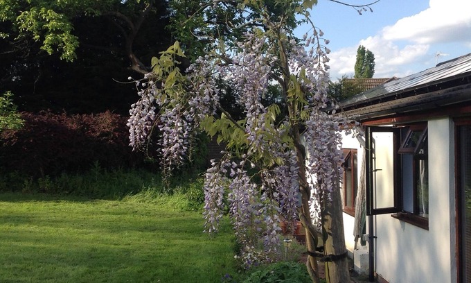 Newton Longville Bed & Breakfast | Yew Tree Farm