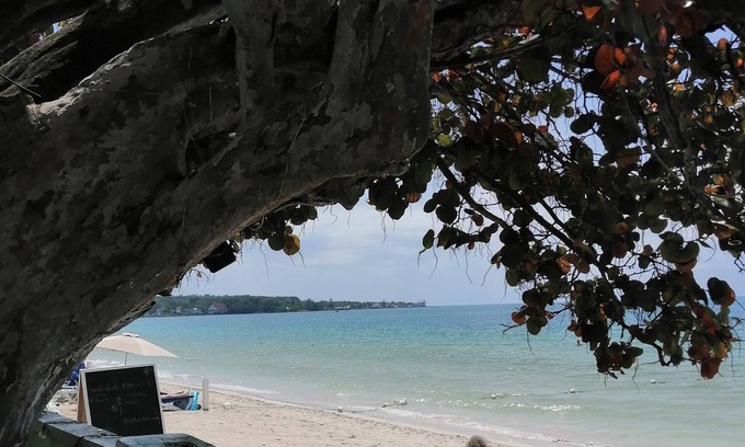 Negril Cabin | Yoga Dreams Negril