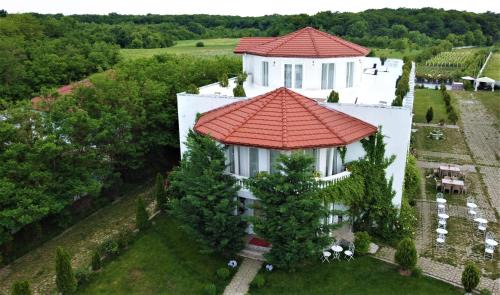 Racari Bed & Breakfast | YOUness WELLness Clinic & Retreats