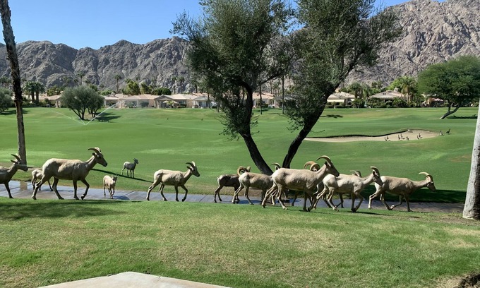 La Quinta Condo | Your Desert Oasis: Luxury Home on Golf Course + Tranquil Remote Work Retreat!