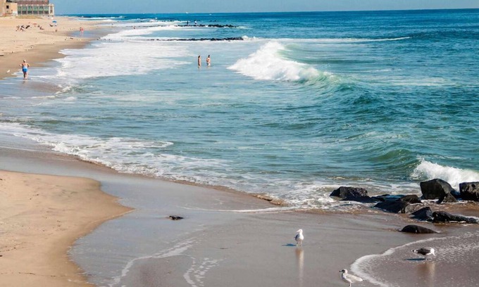 Tinton Falls Hotel | Your Gateway to Jersey Shore Adventures! Pet Friendly Property with Starbucks!