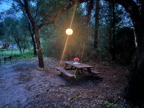 DeLand Other | Your Personal 'Glamp' Site! AC - BBQ - Fast WiFi
