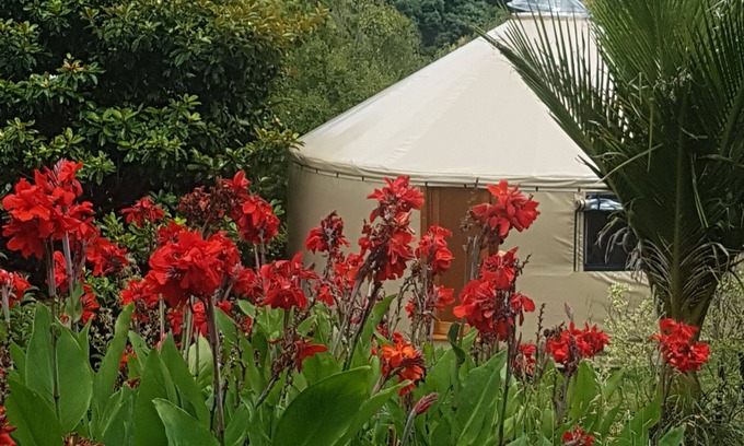 Thames House | Yurt in Thames