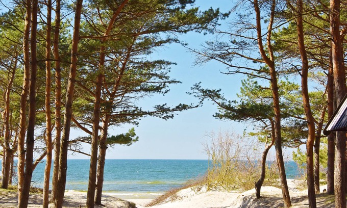 Palanga Cottage | Žalia kopa House near the beach, the terrace the forest view.