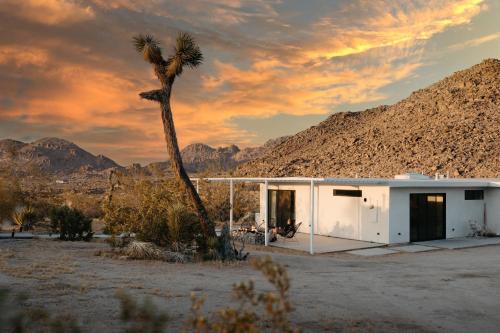 Joshua Tree Highlands House | Zebra Shadow By The Cohost Company