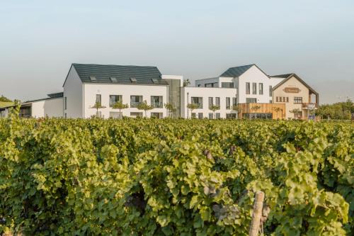 Palzem Bed & Breakfast | Zeit bei Sauerweins