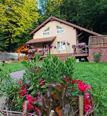 Uzhhorod House | Zelena Saduba