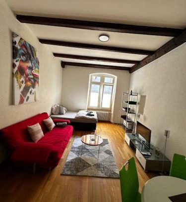 Fribourg Apartment | Zentral und komfortabel an der Kathedrale