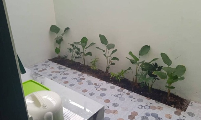 Yogyakarta House | zg homy jogja