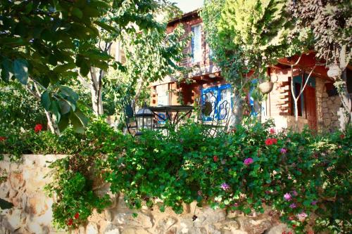 Masade Cabin | Zimer Al-Bayt
