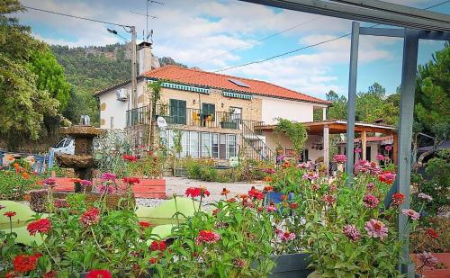 Idanha-a-Nova Bed & Breakfast | Zion Jardim Monsanto