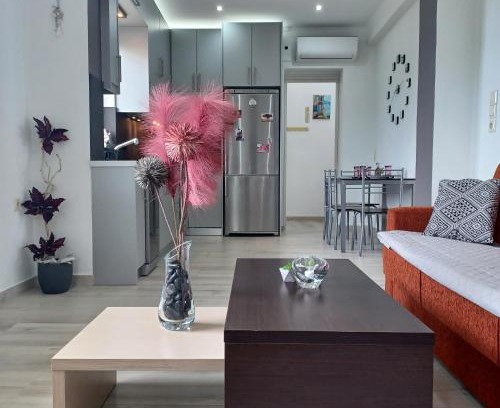 Agios Petros Apartment | Zoggos Apartment