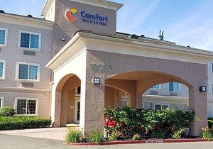Comfort Inn & Suites Galt – Lodi North