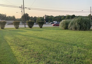 Americas Best Value Inn Roxboro