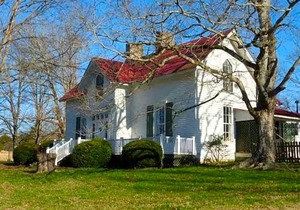 Mulberry Lavender Farm and B&B