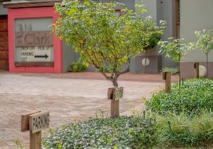 314 on Clark Guest House