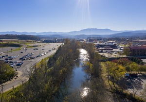 Margaritaville Island Hotel