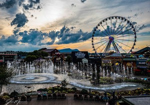 Margaritaville Island Hotel