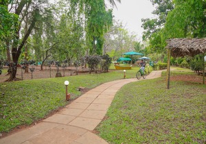 Dudhsagar Spa Resort