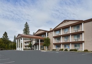 Comfort Inn Central Weed