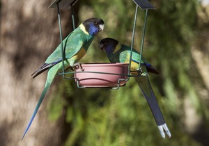 Kathys Place Bed and Breakfast