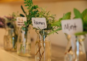 Inn at Moonlight Beach